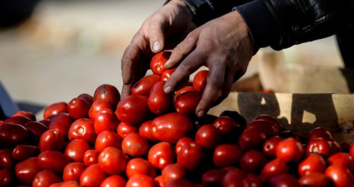 Türkiye-Rusya Restleşmesinin Faturası 1 Milyar Dolar