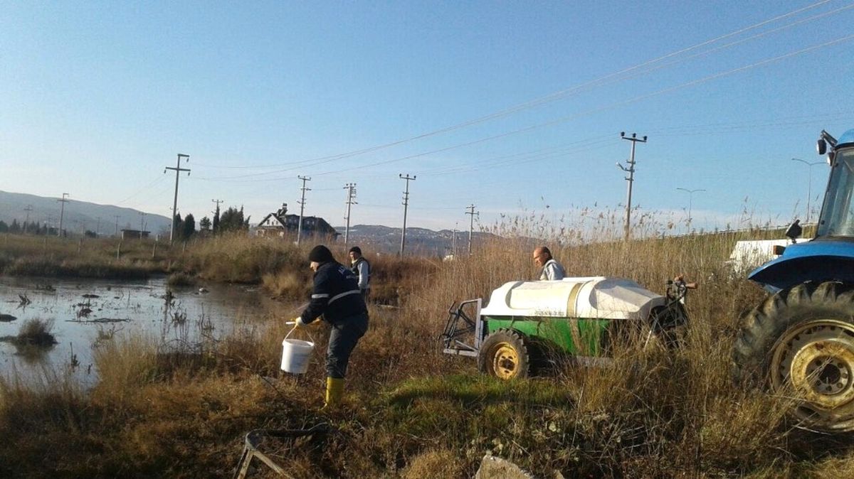 Altınova'da Haşereyle Mücadele
