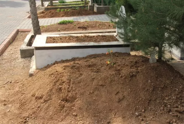 Baba ve Oğlun Esrarengiz Ölümü Baba ve Oğlun Esrarengiz Ölümü