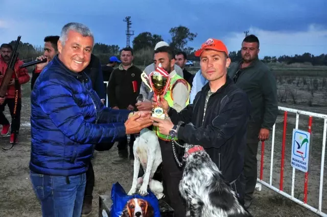 Manavgat'ta Av Köpekleri Kıyasıya Yarıştı