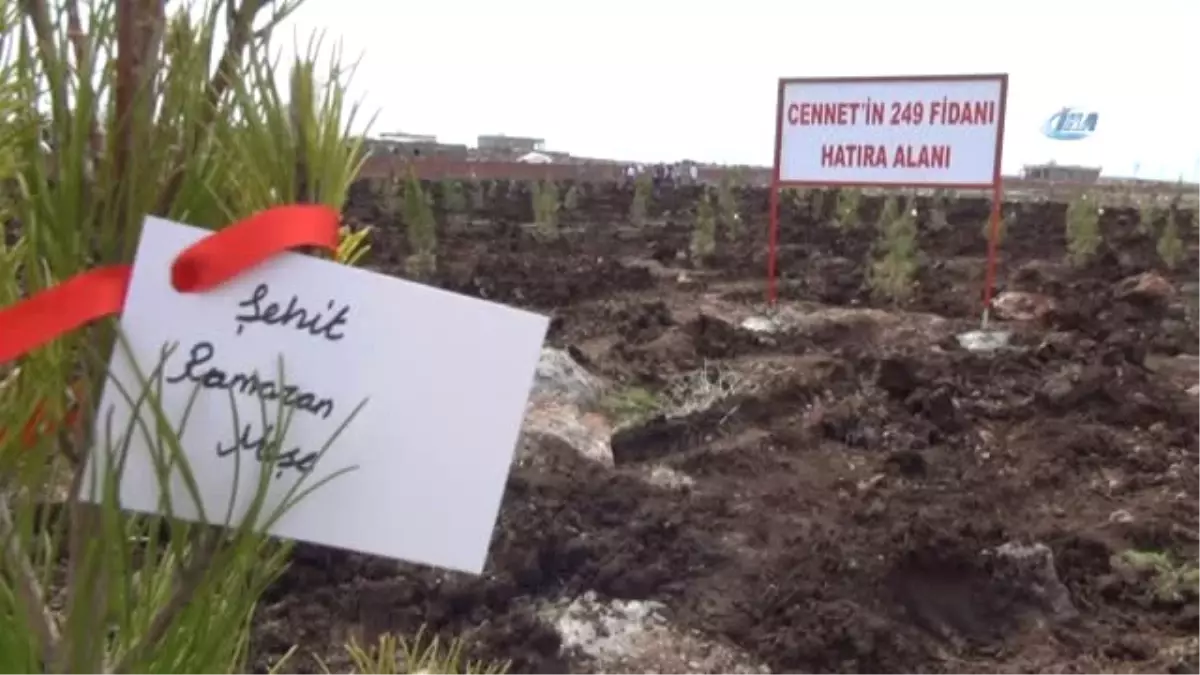 Siverek'te Her Şehidin İsmi İçin Fidan Dikildi