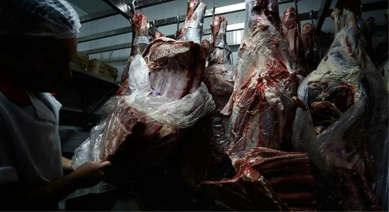 Brezilya'nın Et İhracatı Yüzde 19 Düştü Ekonomi