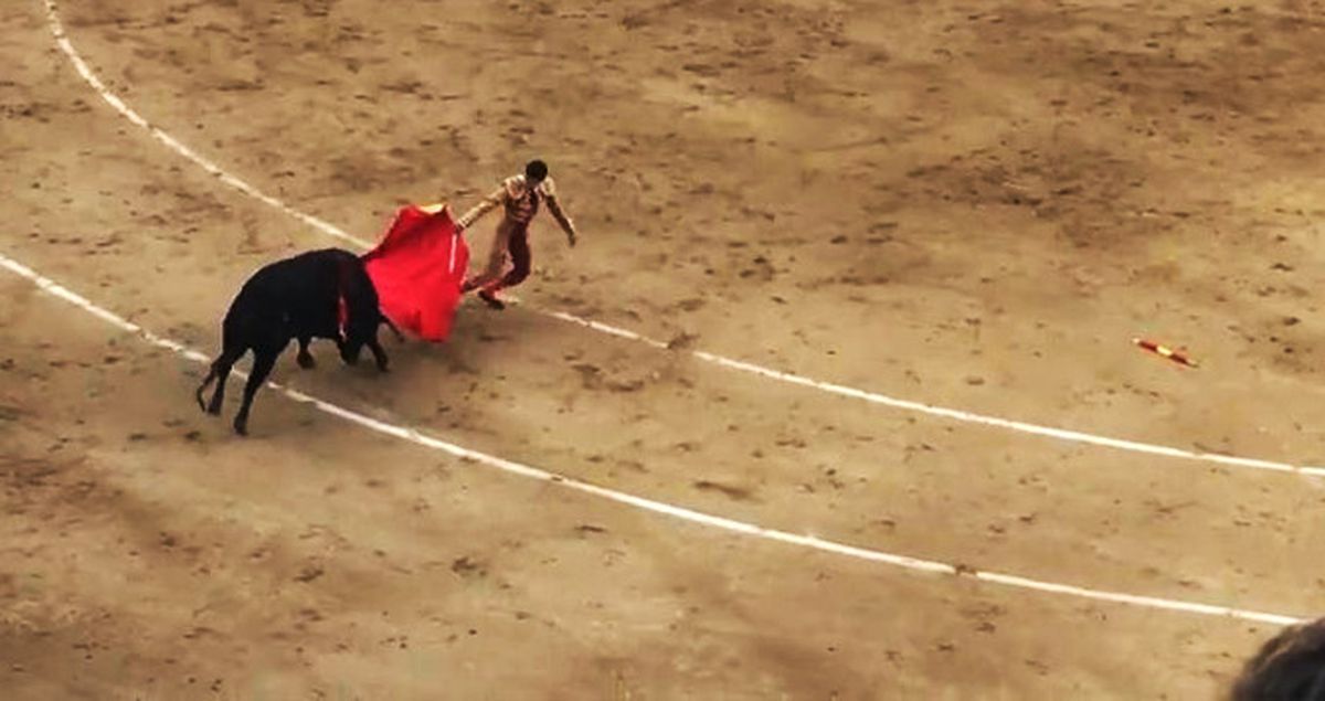 İspanya'daki Boğa Güreşlerinde Matador Hastanelik Oldu