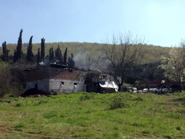 Sakarya'daki Yangın