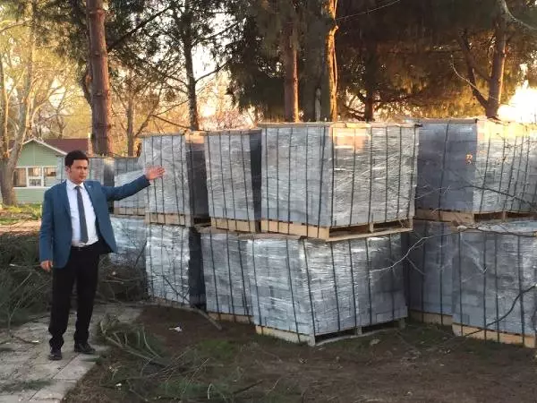 CHP'li Aydın'dan İznik Gölü Kıyısında Ağaç Kesimine Tepki