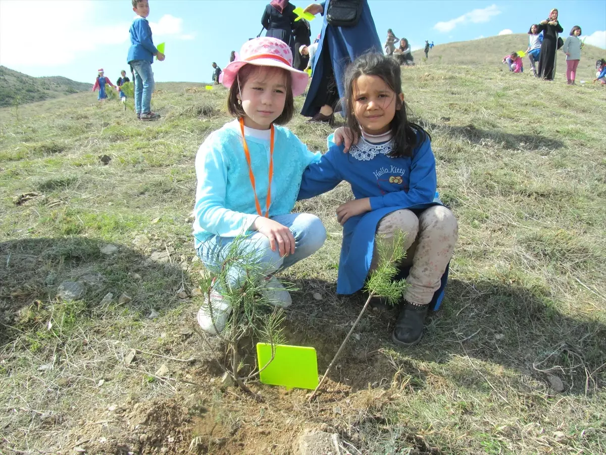 Tokat'ta Fidan Dikme Etkinliği