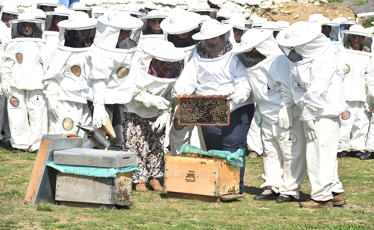 İzmir'de, Kırsaldaki Kadınlara Mobil Arı Aracıyla Eğitim Veriliyor