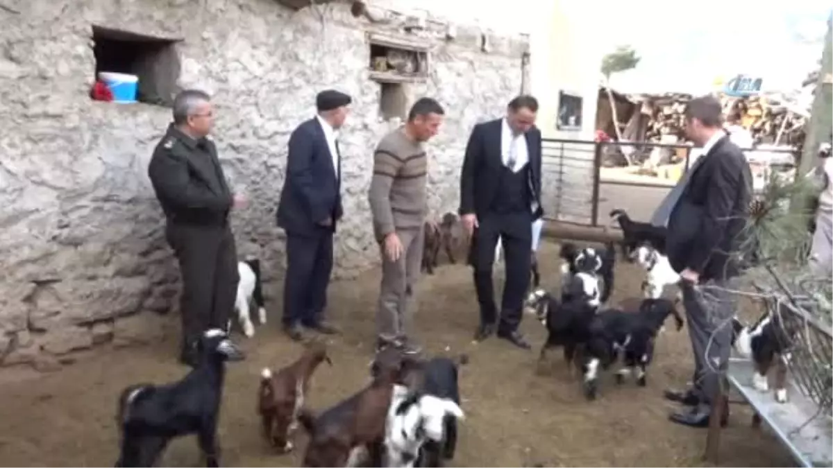 Honamlı Tekesi ile Keçilerde Verimliliğin Arttırılması' Projesi Başarıya Ulaştı
