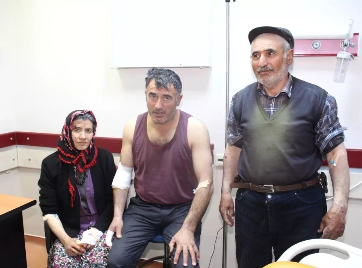 Erzurum'da Kurt Köylülere Saldırdı: 4 Yaralı