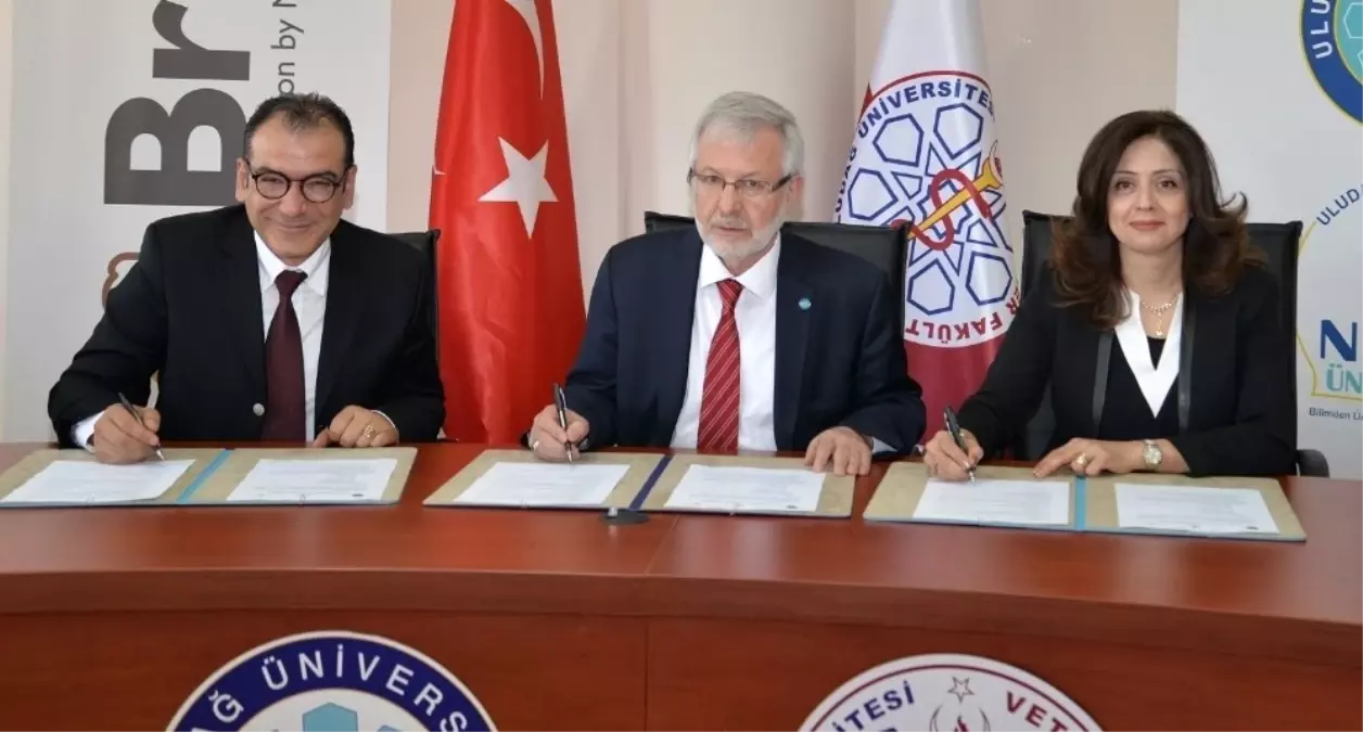 Üniversiteden Kedi ve Köpeklere Ücretsiz Mama Desteği