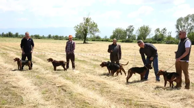 1. Fermalı, Secereli Av Köpekleri Yarışması Antalya'da Yapıldı
