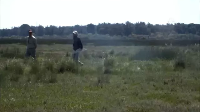 1. Fermalı, Secereli Av Köpekleri Yarışması Yapıldı