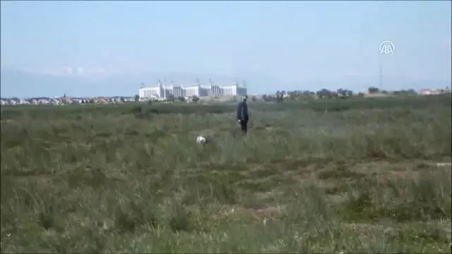 1. Fermalı, Secereli Av Köpekleri Yarışması Yapıldı