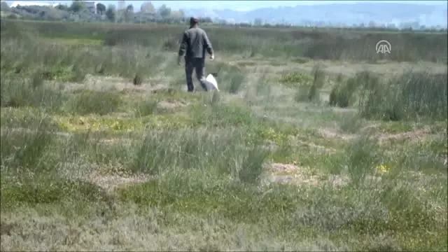 1. Fermalı, Secereli Av Köpekleri Yarışması Yapıldı