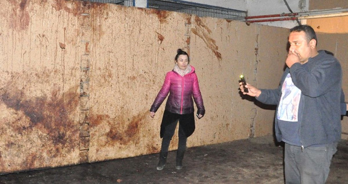 Hayvanat Bahçesinin Arazisinde Kesilmiş At ve Eşek Kafaları Bulundu