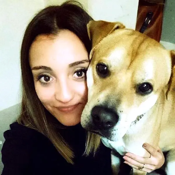 Sokak Sokak Kaybolan Köpeği Jelibon�u Arıyor Haberler