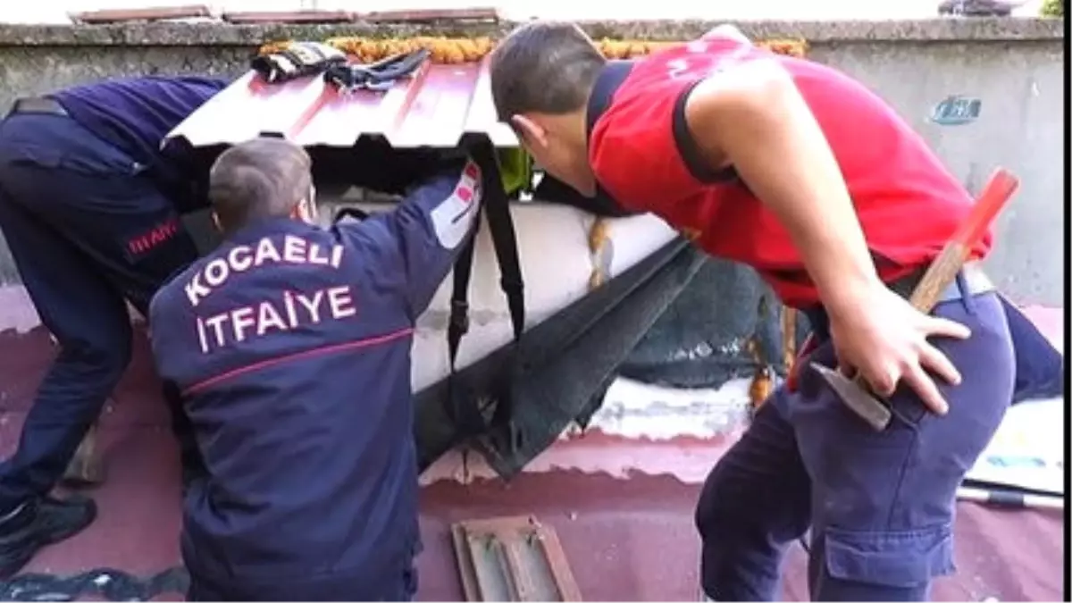 Annelerinin Bacaya Sakladığı Yavru Kedileri İtfaiye Kurtardı
