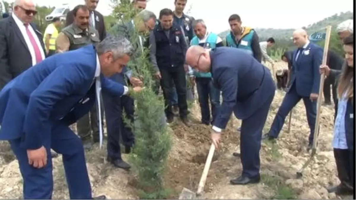15 Temmuz Şehitleri Anısına 249 Fidan
