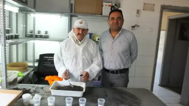 Burhaniye'de Çam Kese Zararlısına Böcekli Mücadele Burhaniye'de Çam Kese Zararlısına Böcekli Mücadele