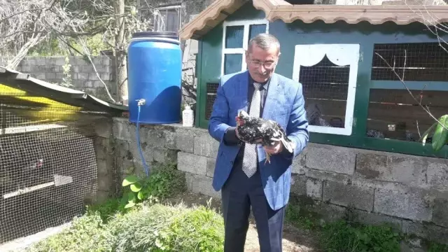 Bu kümes 50 bin dolar