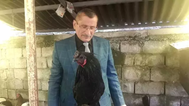 Bu kümes 50 bin dolar