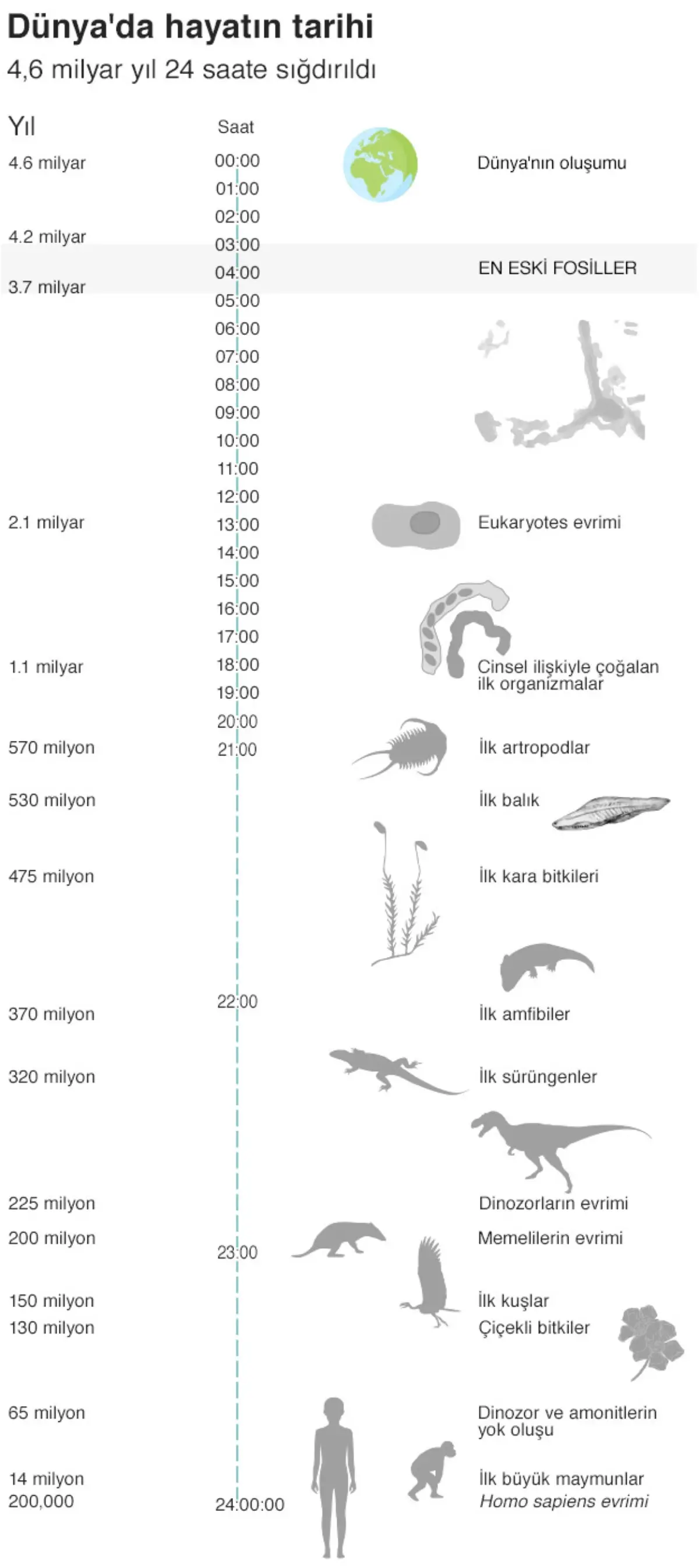 Dünya Üzerindeki En Eski Yaşam Kalıntısı 'Bulundu'