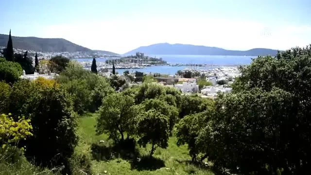 Halikarnas Balıkçısı' Bodrum'da Yaşatılıyor Halikarnas Balıkçısı' Bodrum'da Yaşatılıyor