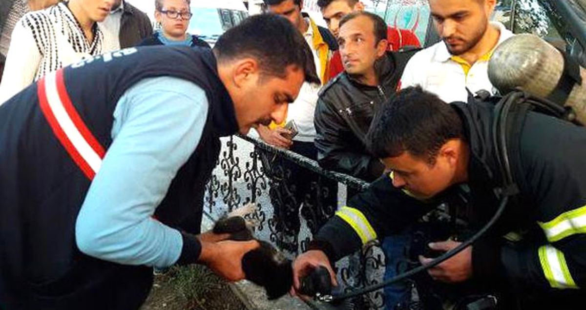 Tekirdağ'da İtfaiye Eri Yangından Kurtardığı Yavru Kediye Oksijen Verdi