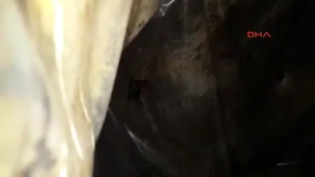 Mardin Savur'da Örgütün Sığınağı Ele Geçirildi Mardin Savur'da Örgütün Sığınağı Ele Geçirildi