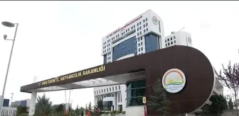 Türkiye Mimarlar Odası: Bakan Çelik - Rusya'nın Ithalatını Yasakladığı Tarım Ürünleri (2) Türkiye Mimarlar Odası: Bakan Çelik - Rusya'nın Ithalatını Yasakladığı Tarım Ürünleri (2)