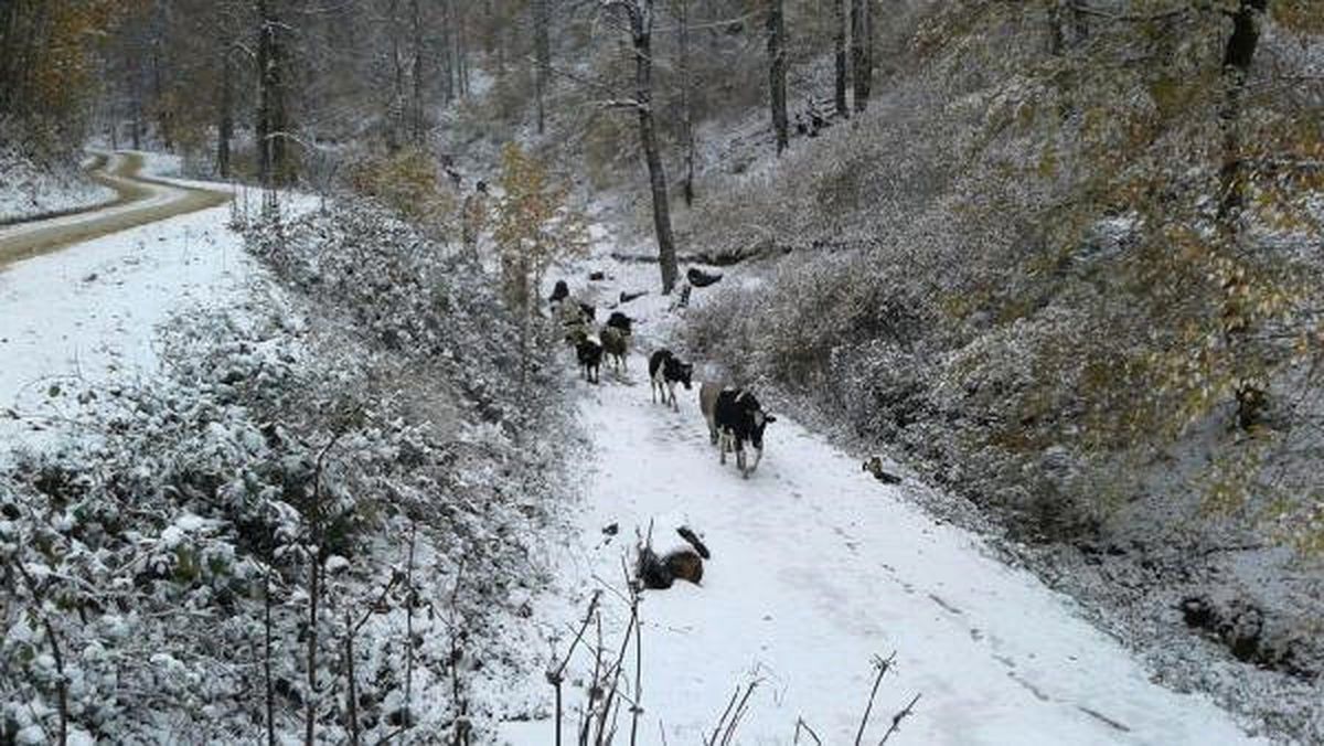 Sakarya'nın Yüksek Kesimlerine Kar Yağdı