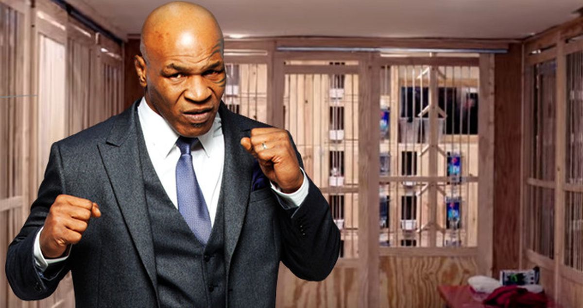 Ünlü Boksör Mike Tyson, Malikanesinde Güvercin Besliyor