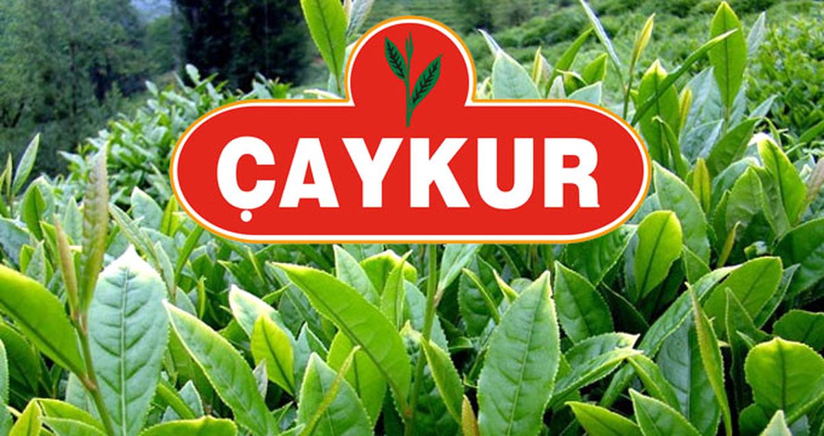ÇAYKUR, Katarlılara Satıldığı İddiasına Cevap Verdi