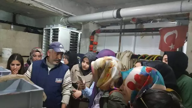 İşletme Öğrencileri Keban'daki İşletmeleri Gezdi İşletme Öğrencileri Keban'daki İşletmeleri Gezdi