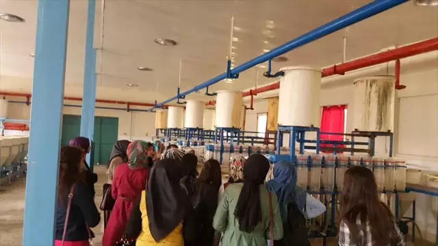 İşletme Öğrencileri Keban'daki İşletmeleri Gezdi İşletme Öğrencileri Keban'daki İşletmeleri Gezdi