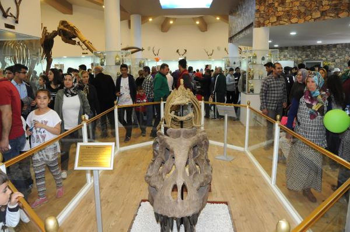 Türkiye'nin İlk Zooloji ve Doğa Müzesi Gaziantep'te Açıldı
