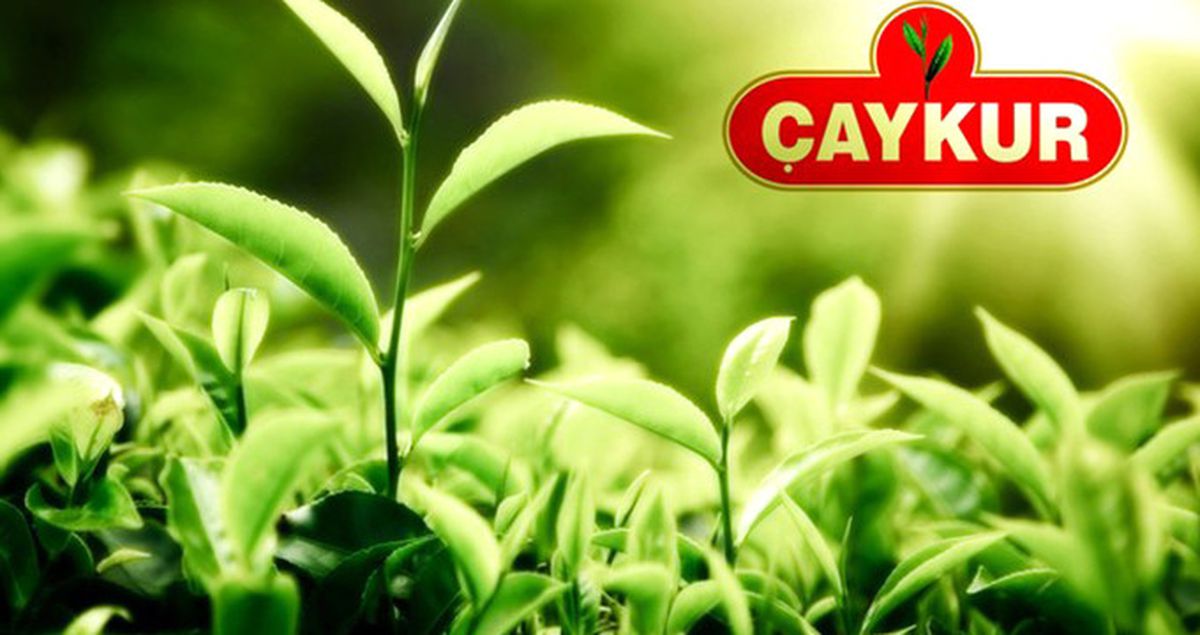 Bakan Zeybekci: ÇAYKUR Satılmayacak