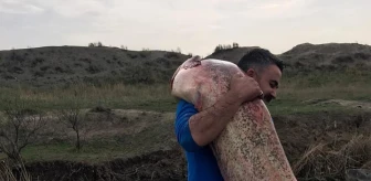 Iğdır'da 100 Kiloluk Yayın Balığı Yakalandı