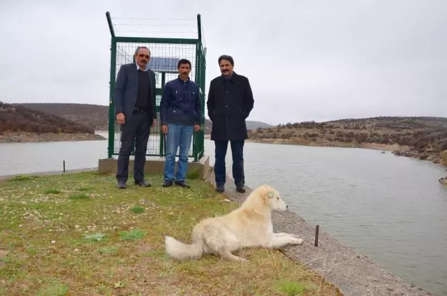 Yağışlı Hava Yüzünden Seyitgazi'de Çiftçilerin Yüzü Gülüyor Yağışlı Hava Yüzünden Seyitgazi'de Çiftçilerin Yüzü Gülüyor