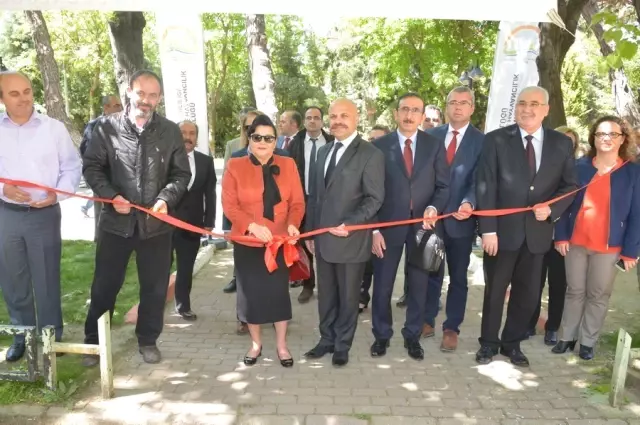 Tarım ve İnsan
