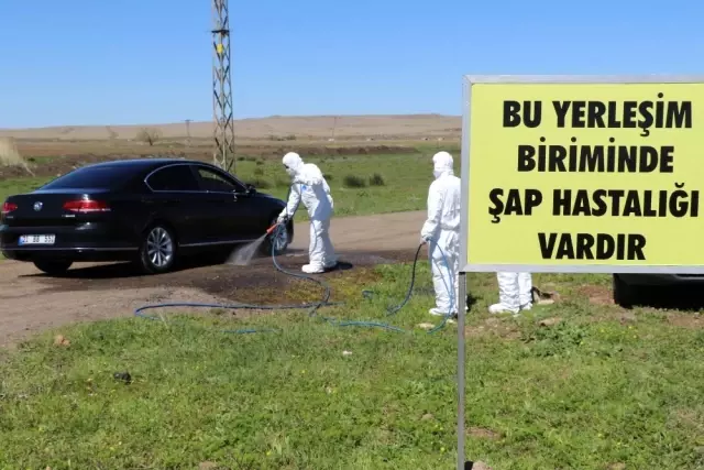 Diyarbakır'da Şap Hastalığı Tatbikatı Yapıldı