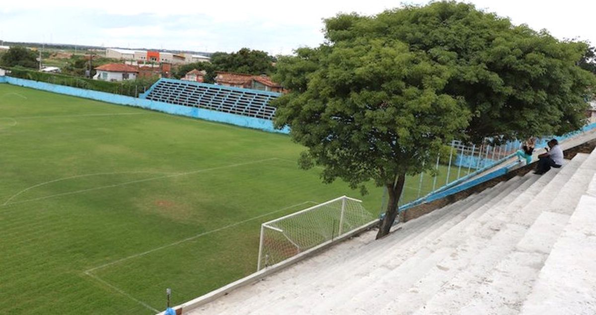 Paraguay Ekibi, Yenilediği Tribündeki Ağacı Kesmedi