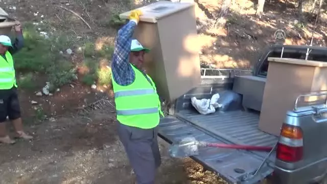 Kırmızı Karıncaların Zoraki Göçü Başladı - Isparta