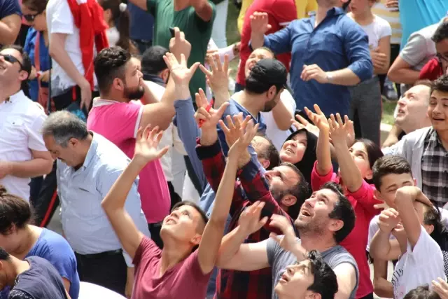 43 Noktadan 6 Ton Mesir Macunu Dağıtıldı 43 Noktadan 6 Ton Mesir Macunu Dağıtıldı