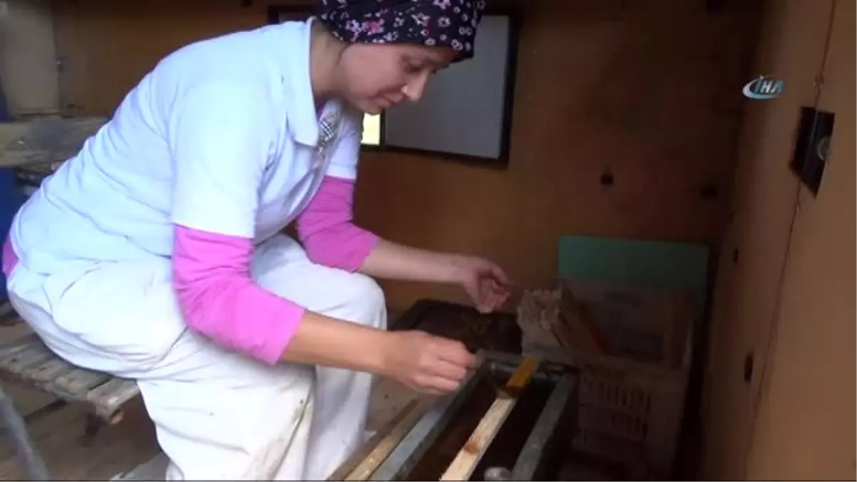 Aydın'da Lise Mezunu İki Kadın Ekmeğini Arıcılıktan Çıkarıyor