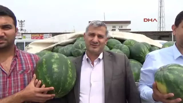 Serik Hali Nde Karpuz Satisa Cikti Serik Hali Nde Karpuz Satisa Cikti