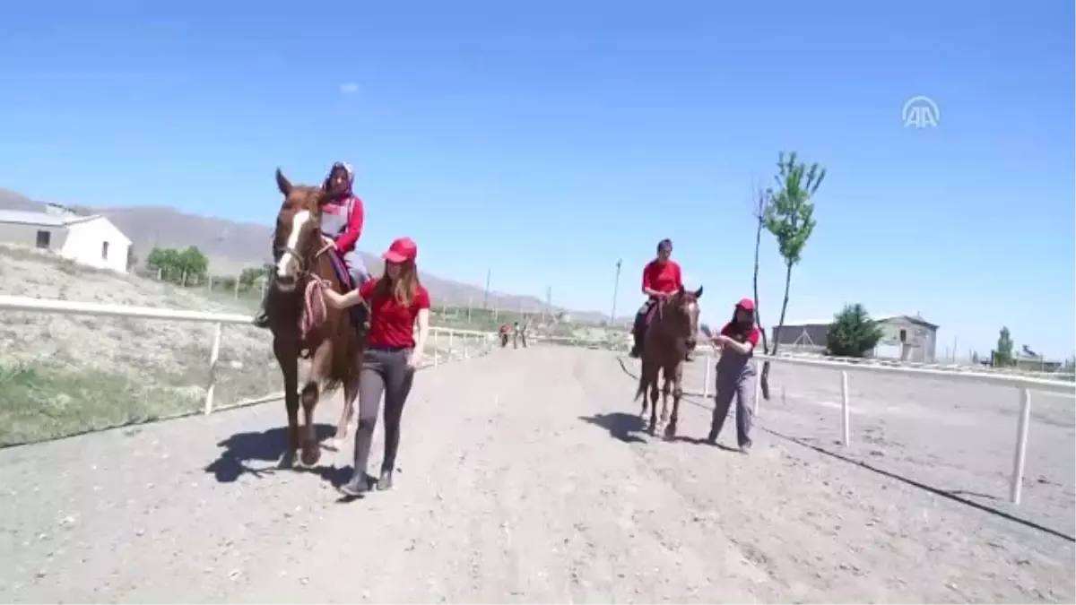 Atlar 'Ojeli' Seyislere Emanet (2) - Elazığ