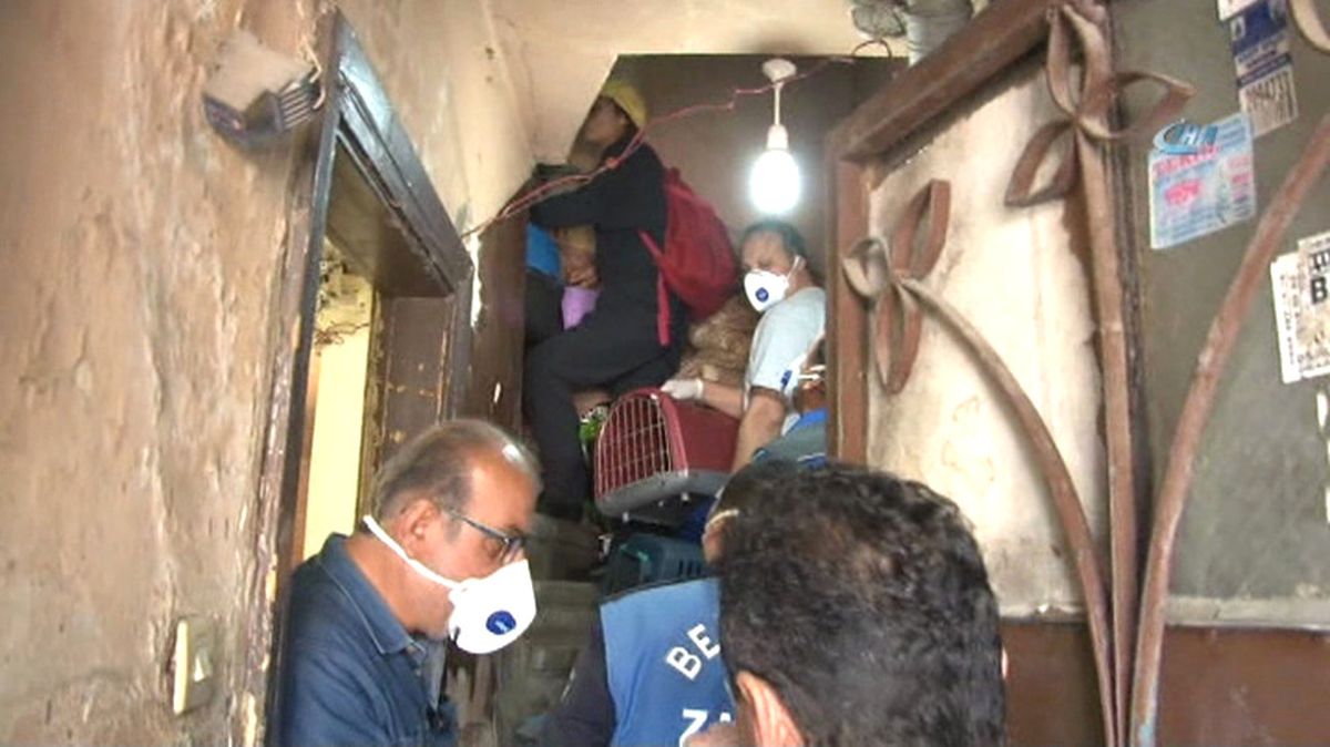 Zabıta Şoke Oldu! Beyoğlu'nda Kötü Koku Yayan Evden Onlarca Kedi Çıktı