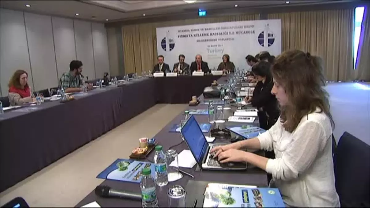 'Fındıkçının Korkulu Rüyası Külleme Nedeniyle Kayıp 300 Milyon Dolar'