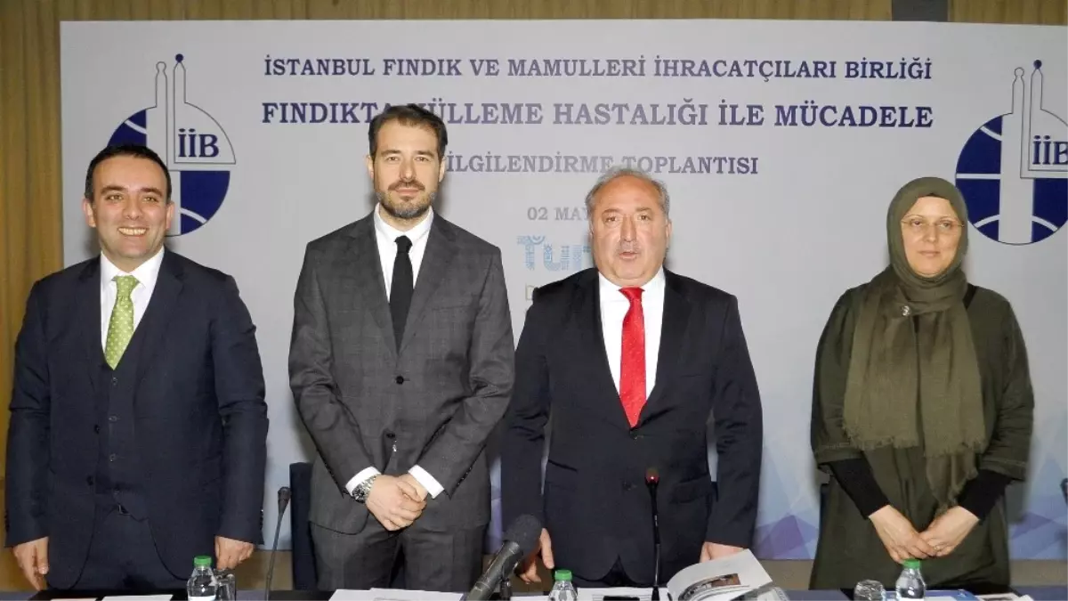 'Fındıkçının Korkulu Rüyası Külleme Nedeniyle Kayıp 300 Milyon Dolar'